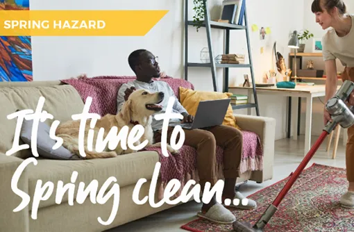 Keeping your pet safe and healthy whilst you're Spring cleaning