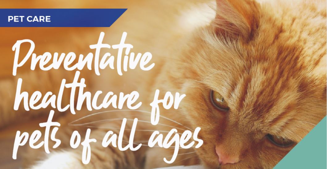 5 benefits to joining our Pet Health for Life Plan