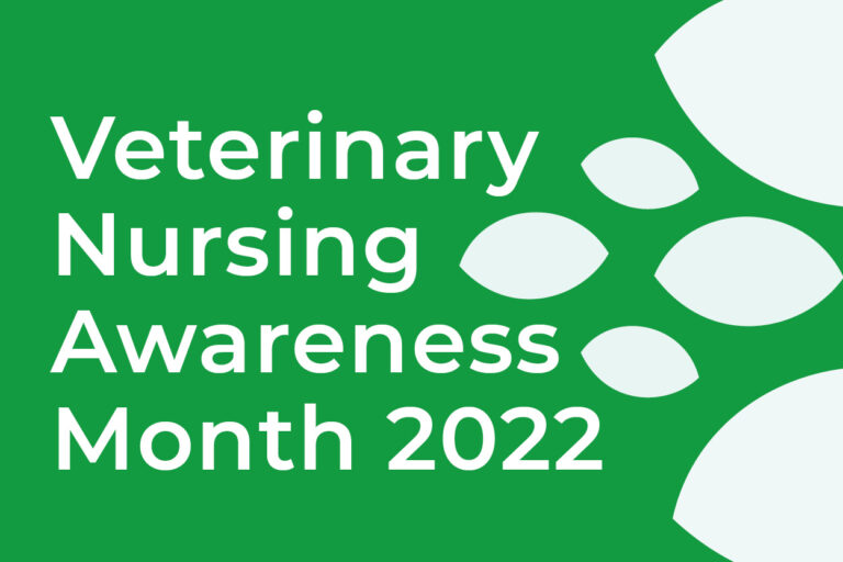 Veterinary Nursing Awareness Month at Blacks Vets 