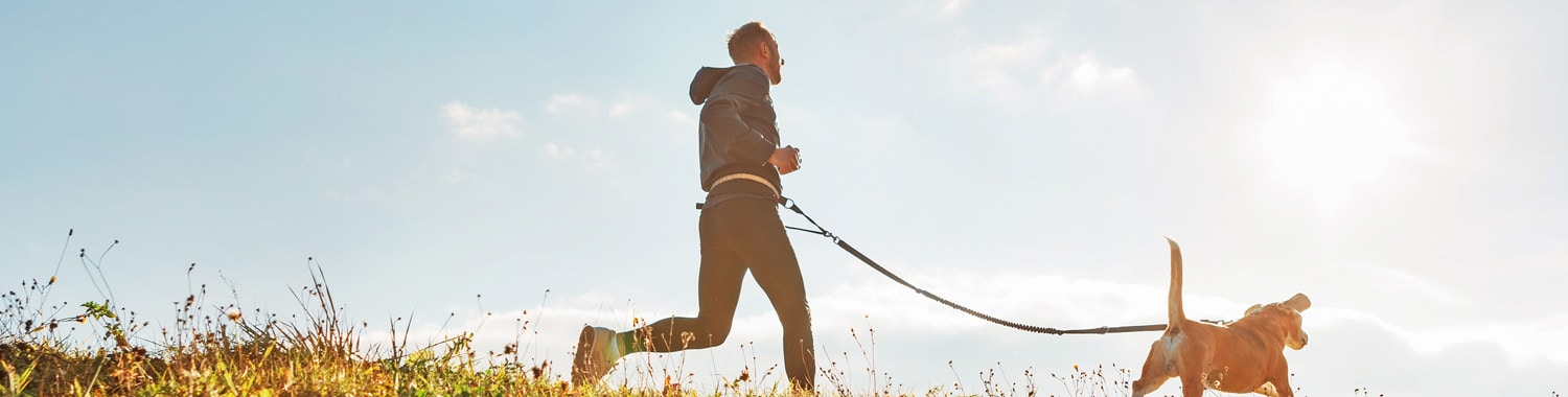 How to teach your dog to walk with a lead