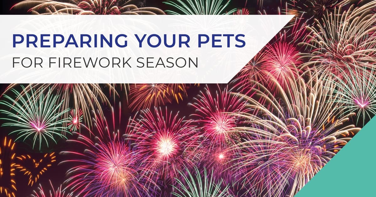 Preparing your pets for firework season