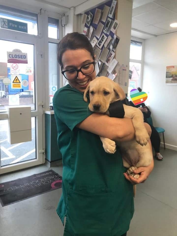 Tracey Trippichio - Head Veterinary Nurse