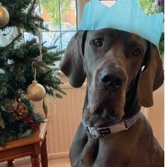 The Dinky Diaries– Our Lifestyle Magazine November/December 2019