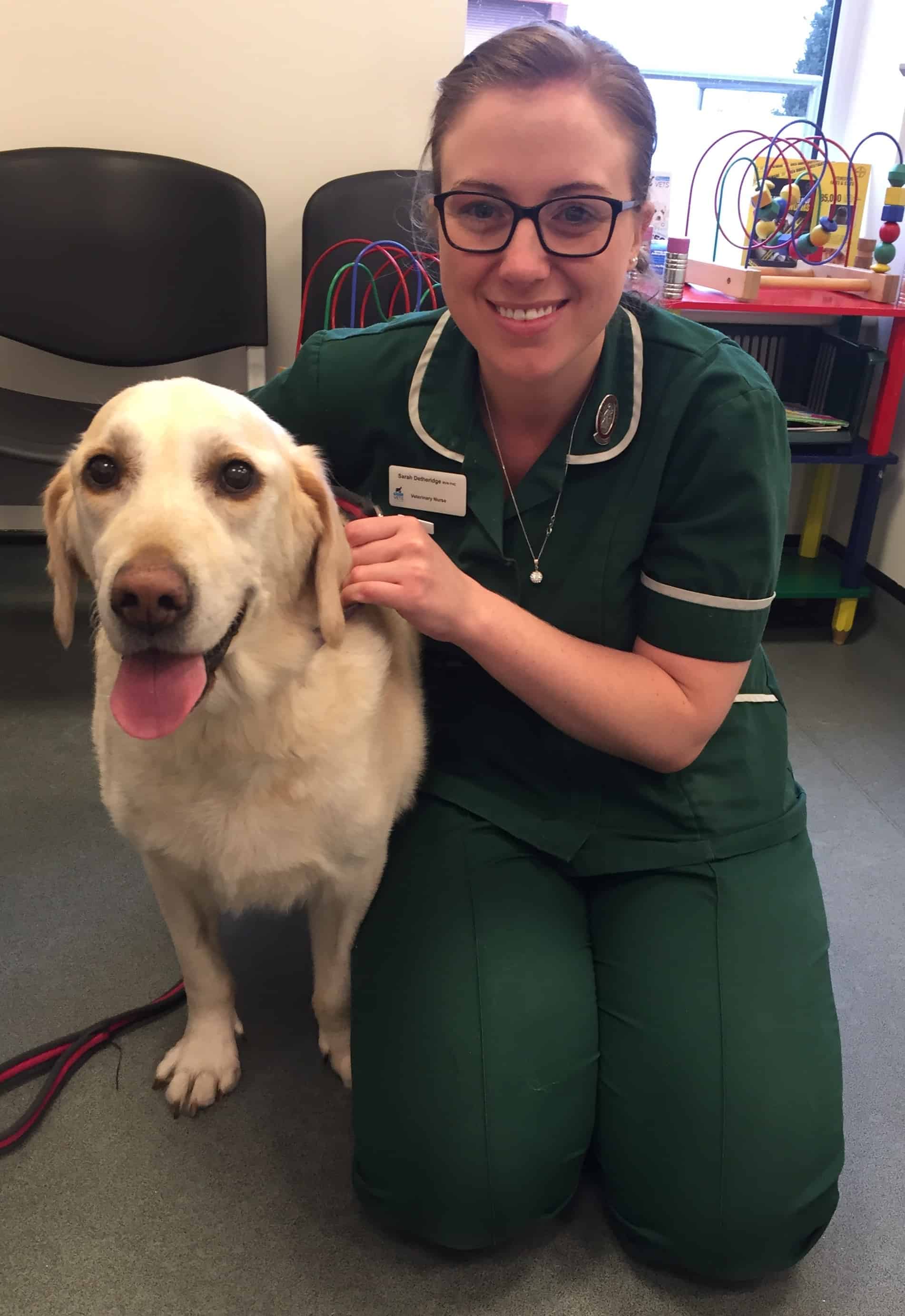 Has Your Pet Piled on the Pounds? – Town & Village Life Jan/Feb 2019