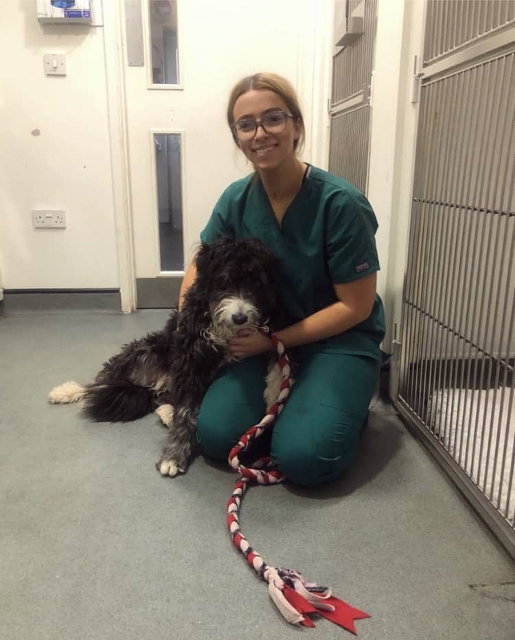 Sophie Evans - Dedicated Veterinary Night Nurse
