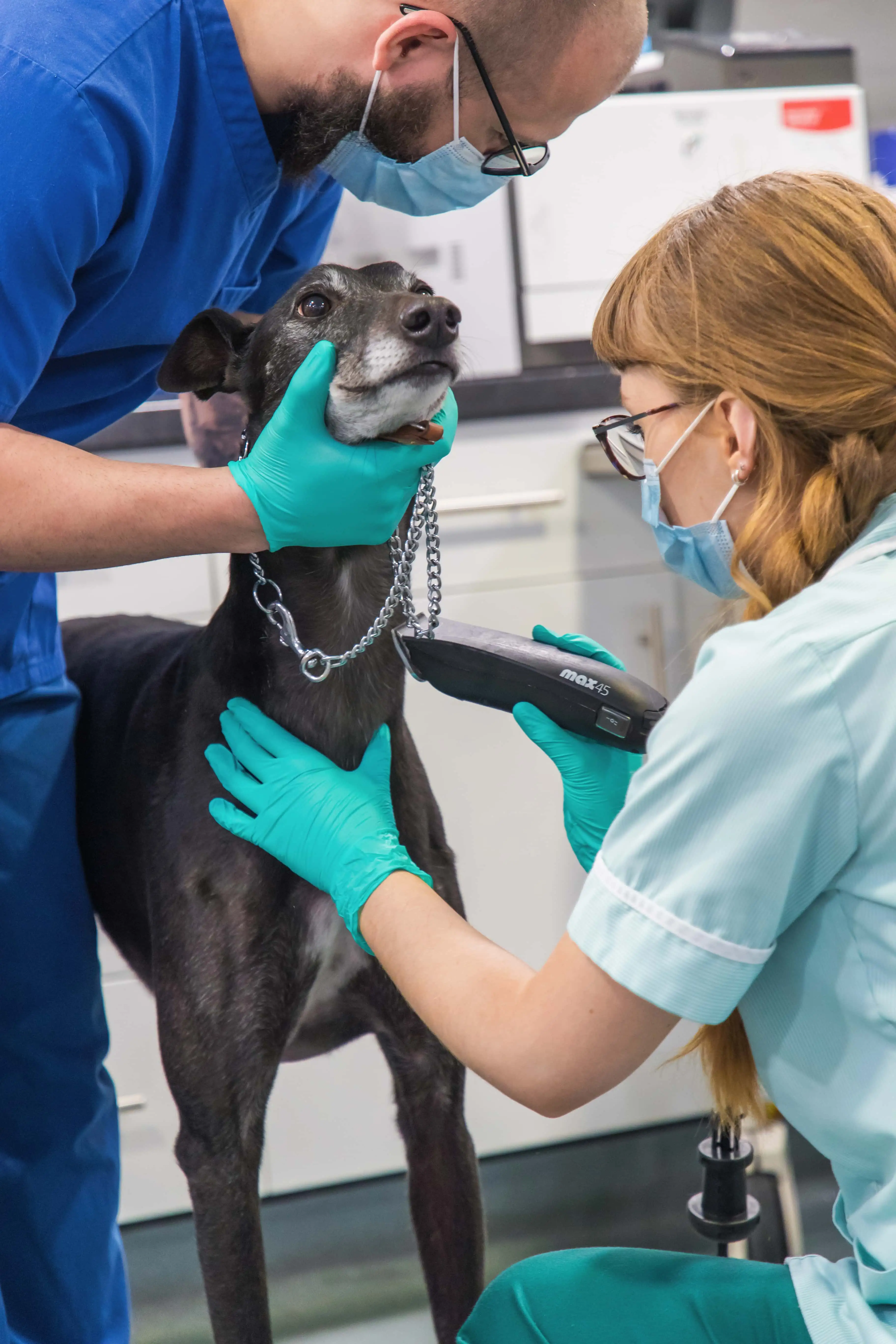 Blacks vets Gallery Images