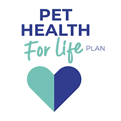 PH4L   Conversion   Dog compressed