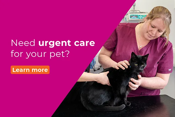 Need urgent care for your pet?