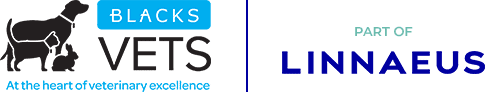 Blacks Vets Logo