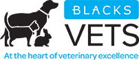Blacks Vets Logo