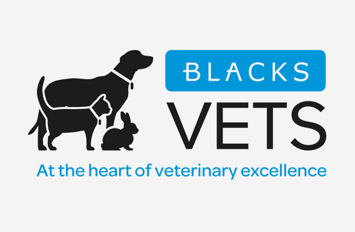 Book a consultation at your local Blacks Vets Surgery today!